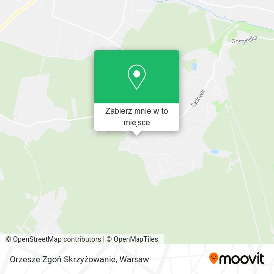 Mapa Orzesze Zgoń Skrzyżowanie