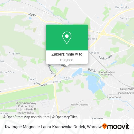 Mapa Kwitnące Magnolie Laura Krasowska Dudek