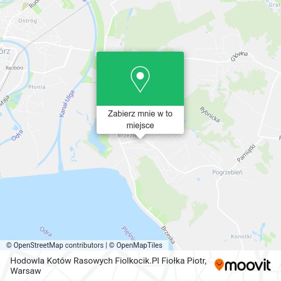 Mapa Hodowla Kotów Rasowych Fiolkocik.Pl Fiołka Piotr