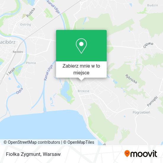 Mapa Fiołka Zygmunt