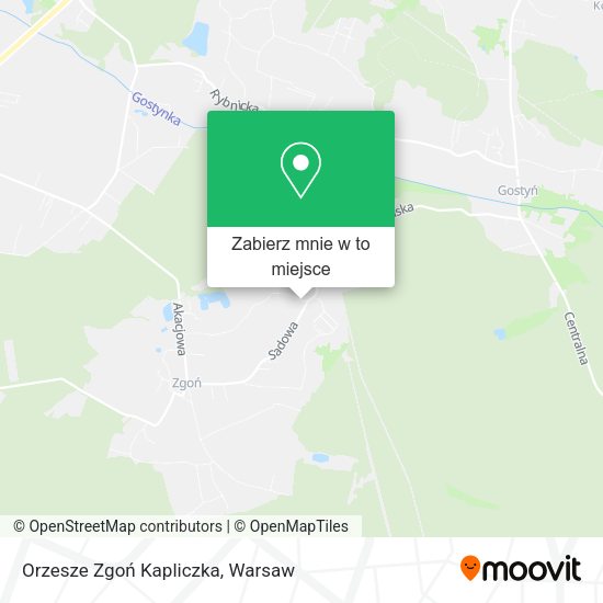 Mapa Orzesze Zgoń Kapliczka