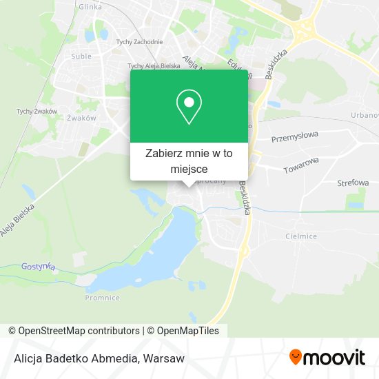 Mapa Alicja Badetko Abmedia