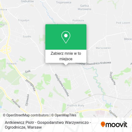 Mapa Antkiewicz Piotr - Gospodarstwo Warzywniczo - Ogrodnicze