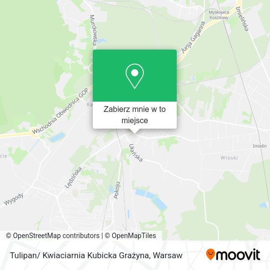 Mapa Tulipan/ Kwiaciarnia Kubicka Grażyna