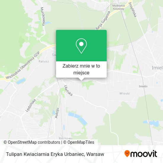 Mapa Tulipan Kwiaciarnia Eryka Urbaniec