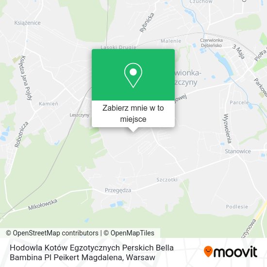 Mapa Hodowla Kotów Egzotycznych Perskich Bella Bambina Pl Peikert Magdalena