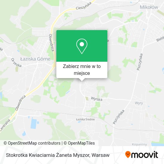 Mapa Stokrotka Kwiaciarnia Żaneta Myszor