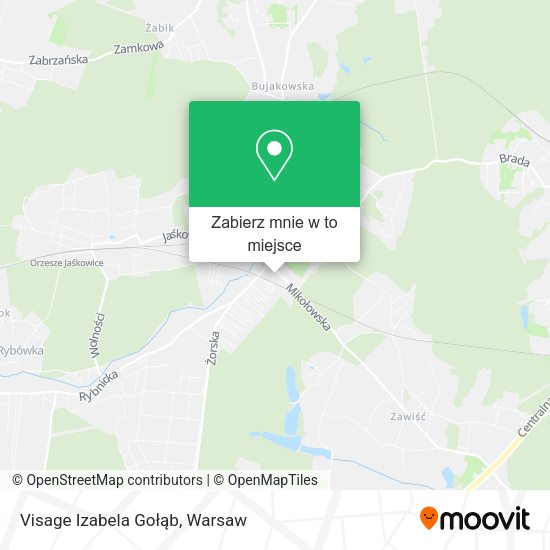 Mapa Visage Izabela Gołąb