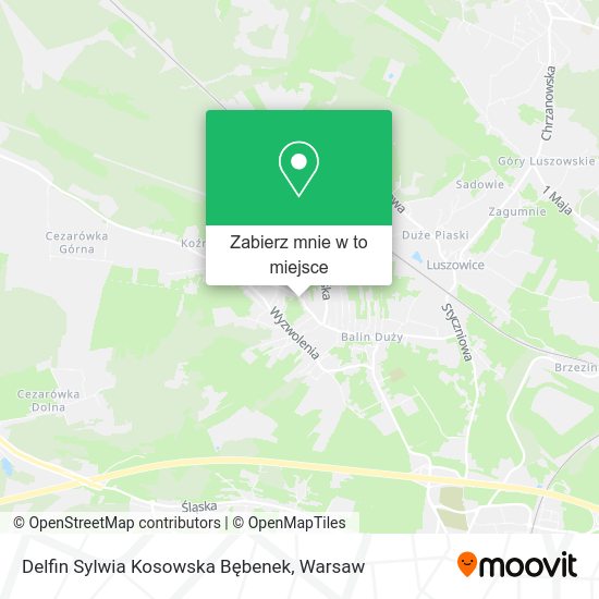 Mapa Delfin Sylwia Kosowska Bębenek