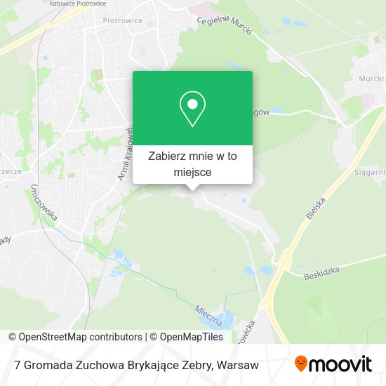 Mapa 7 Gromada Zuchowa Brykające Zebry