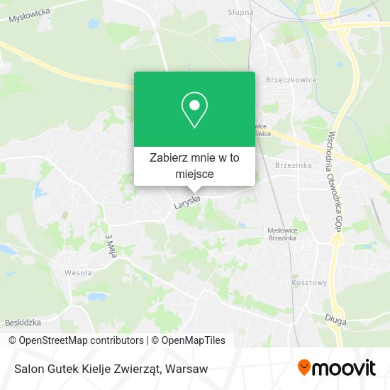 Mapa Salon Gutek Kielje Zwierząt