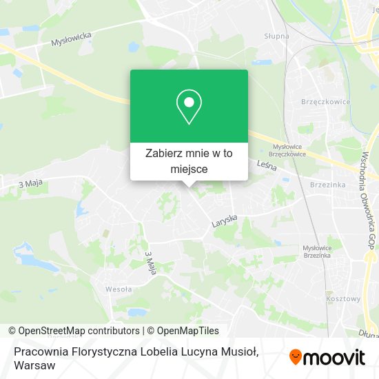 Mapa Pracownia Florystyczna Lobelia Lucyna Musioł