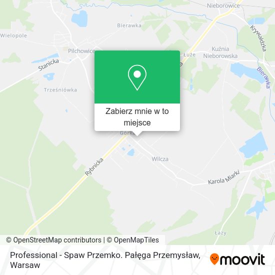 Mapa Professional - Spaw Przemko. Pałęga Przemysław