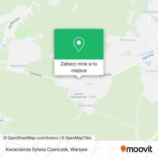 Mapa Kwiaciarnia Sylwia Czenczek