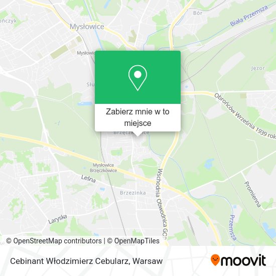 Mapa Cebinant Włodzimierz Cebularz