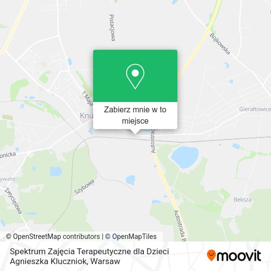 Mapa Spektrum Zajęcia Terapeutyczne dla Dzieci Agnieszka Kluczniok