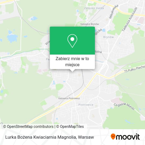 Mapa Lurka Bożena Kwiaciarnia Magnolia