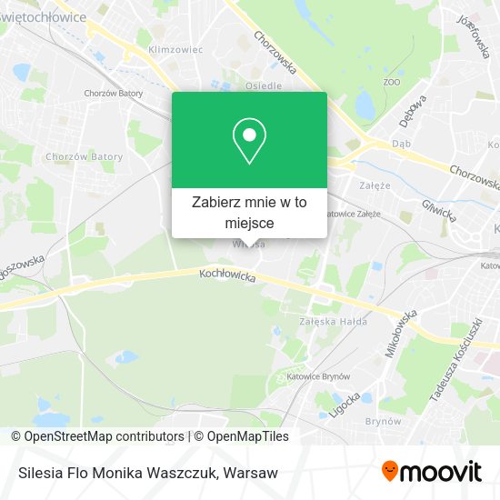 Mapa Silesia Flo Monika Waszczuk