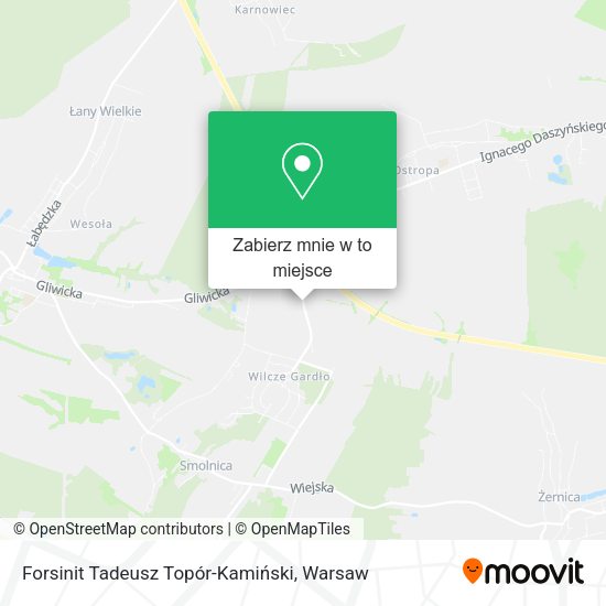 Mapa Forsinit Tadeusz Topór-Kamiński