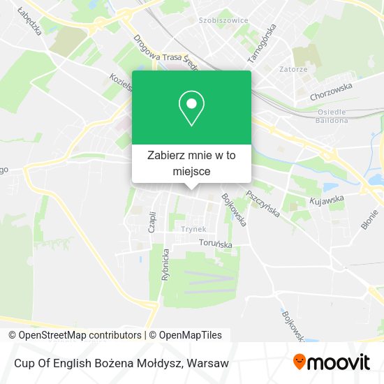 Mapa Cup Of English Bożena Mołdysz