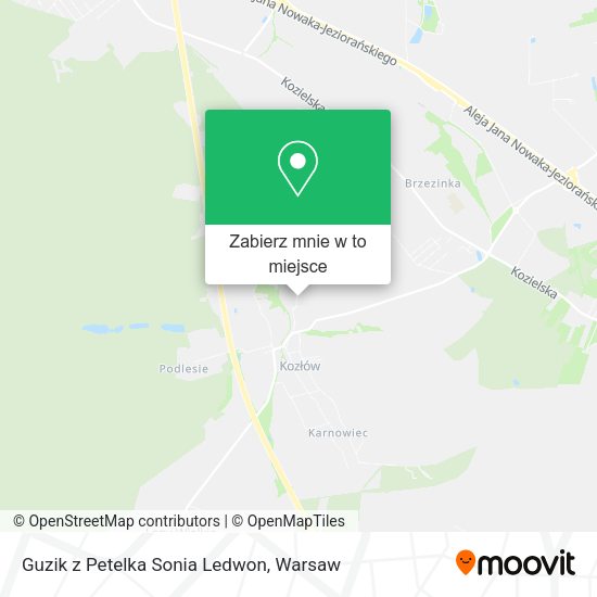 Mapa Guzik z Petelka Sonia Ledwon