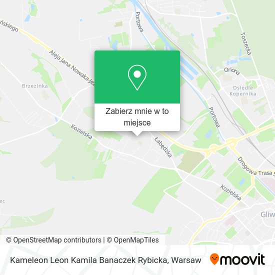 Mapa Kameleon Leon Kamila Banaczek Rybicka