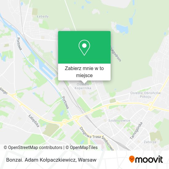 Mapa Bonzai. Adam Kołpaczkiewicz