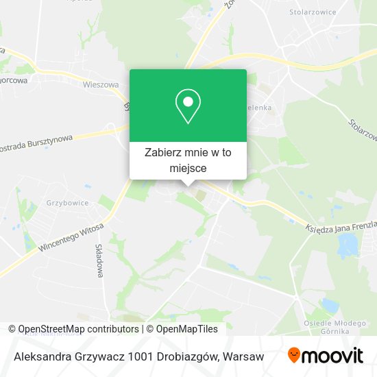 Mapa Aleksandra Grzywacz 1001 Drobiazgów