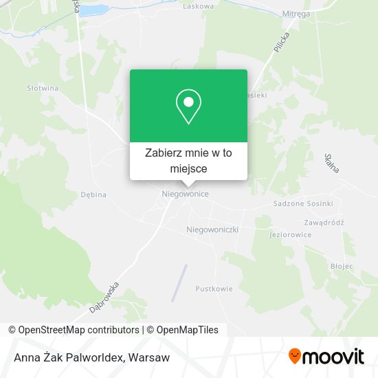 Mapa Anna Żak Palworldex