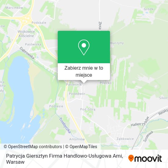 Mapa Patrycja Giersztyn Firma Handlowo-Usługowa Ami