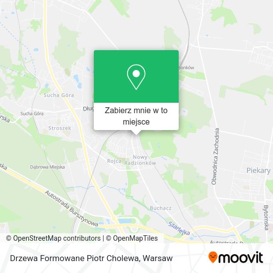 Mapa Drzewa Formowane Piotr Cholewa