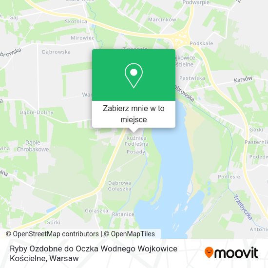 Mapa Ryby Ozdobne do Oczka Wodnego Wojkowice Kościelne