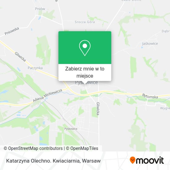 Mapa Katarzyna Olechno. Kwiaciarnia