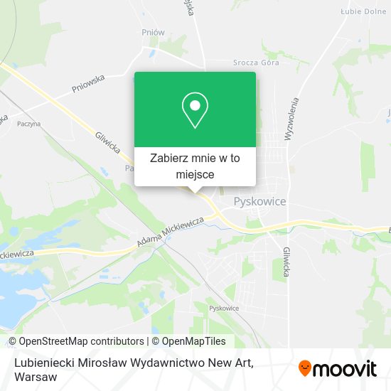 Mapa Lubieniecki Mirosław Wydawnictwo New Art