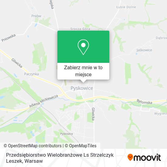 Mapa Przedsiębiorstwo Wielobranżowe Ls Strzelczyk Leszek