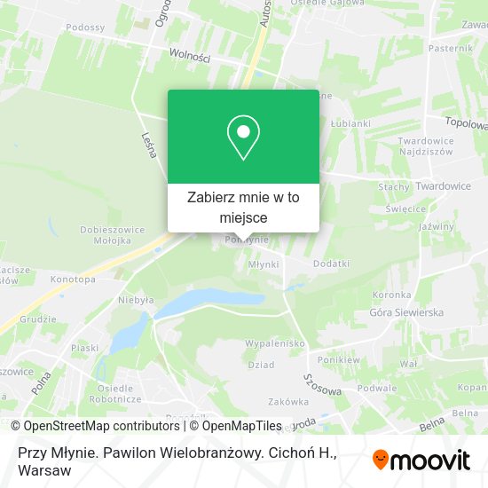 Mapa Przy Młynie. Pawilon Wielobranżowy. Cichoń H.