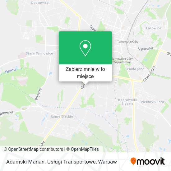 Mapa Adamski Marian. Usługi Transportowe