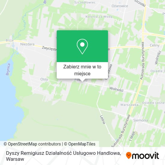 Mapa Dyszy Remigiusz Działalność Usługowo Handlowa