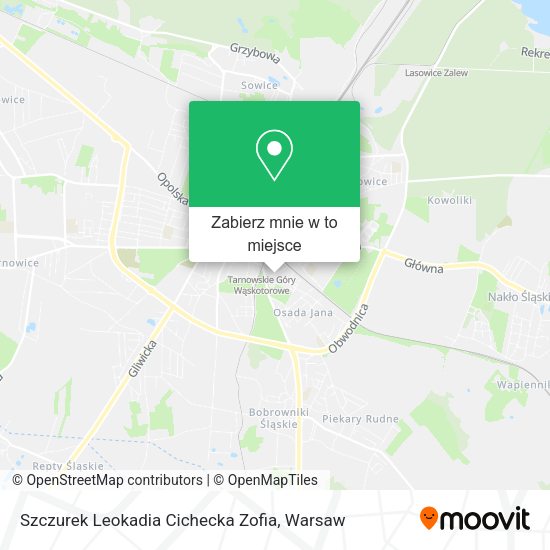 Mapa Szczurek Leokadia Cichecka Zofia