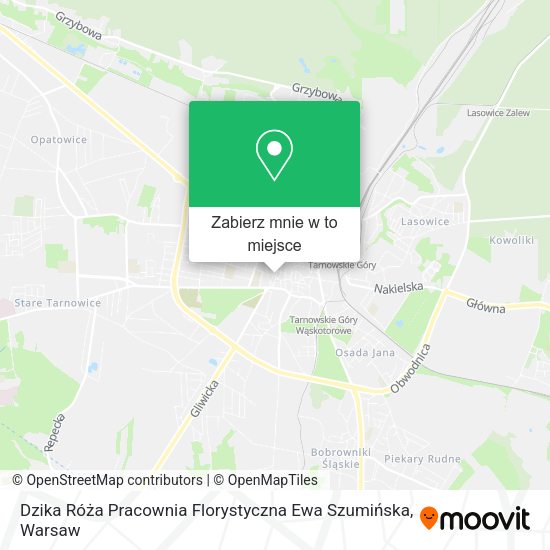 Mapa Dzika Róża Pracownia Florystyczna Ewa Szumińska