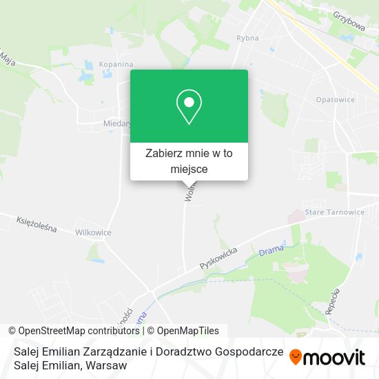 Mapa Salej Emilian Zarządzanie i Doradztwo Gospodarcze Salej Emilian