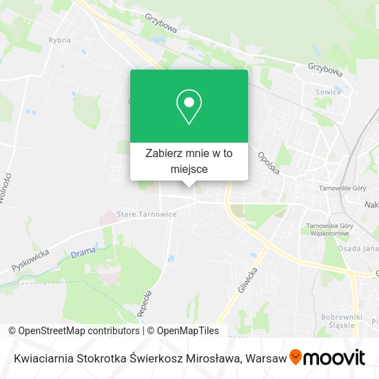 Mapa Kwiaciarnia Stokrotka Świerkosz Mirosława