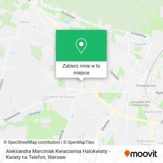 Mapa Aleksandra Marciniak Kwiaciarnia Halokwiaty - Kwiaty na Telefon