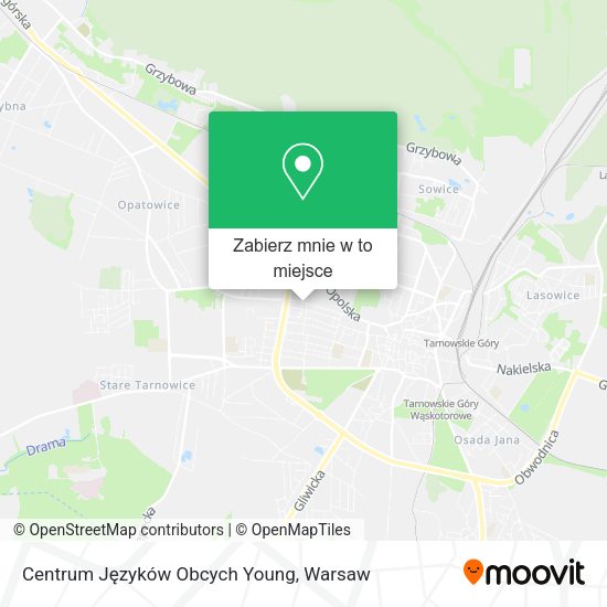 Mapa Centrum Języków Obcych Young