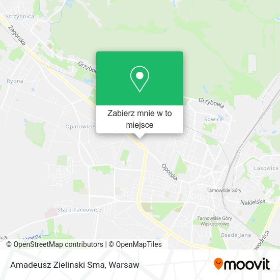 Mapa Amadeusz Zielinski Sma