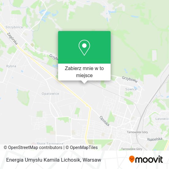 Mapa Energia Umysłu Kamila Lichosik