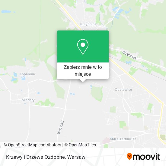 Mapa Krzewy i Drzewa Ozdobne