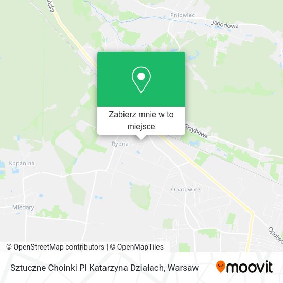 Mapa Sztuczne Choinki Pl Katarzyna Działach