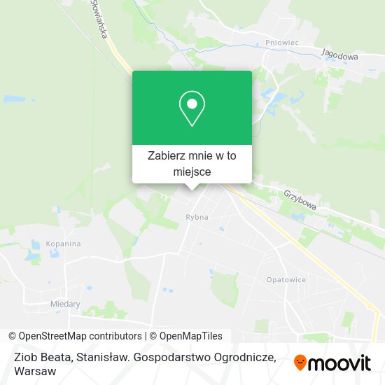 Mapa Ziob Beata, Stanisław. Gospodarstwo Ogrodnicze