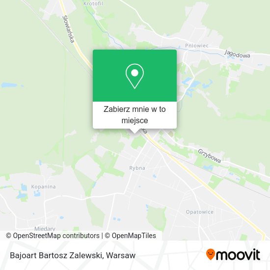 Mapa Bajoart Bartosz Zalewski